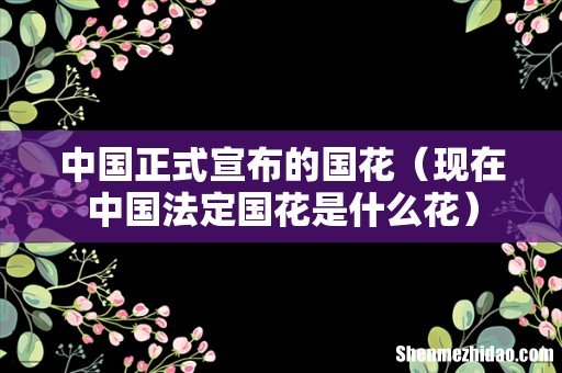 现在中国法定国花是什么花 中国正式宣布的国花