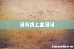 没有线上客服吗