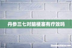 丹参三七对脑梗塞有疗效吗