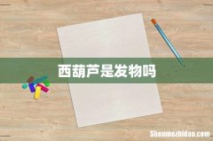西葫芦是发物吗