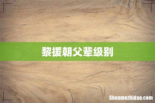 黎援朝父辈级别