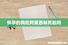 怀孕的狗吃阿莫西林死胎吗