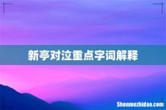 新亭对泣重点字词解释