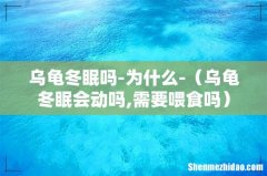 乌龟冬眠会动吗,需要喂食吗 乌龟冬眠吗-为什么-