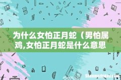 男怕属鸡,女怕正月蛇是什么意思 为什么女怕正月蛇