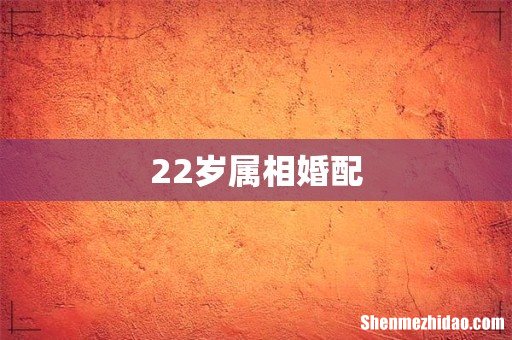 22岁属相婚配