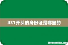 431开头的身份证是哪里的