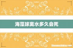 海藻球离水多久会死