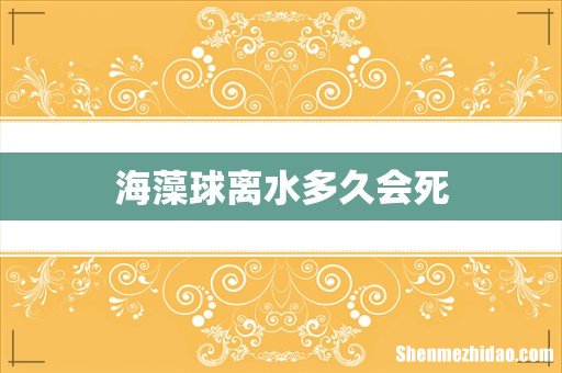海藻球离水多久会死