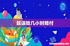 延误险几小时赔付