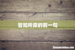 皆如所愿的前一句