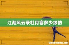 江湖风云录杜月寒多少级的