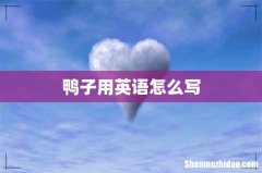 鸭子用英语怎么写