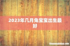 2023年几月兔宝宝出生最好