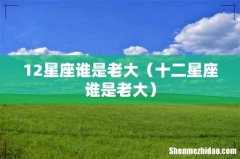 十二星座谁是老大 12星座谁是老大