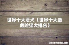 世界十大最危险猛犬排名 世界十大恶犬