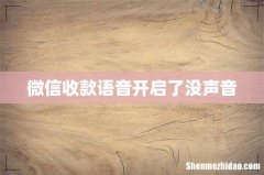 微信收款语音开启了没声音