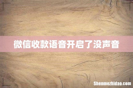 微信收款语音开启了没声音