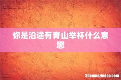 你是沿途有青山举杯什么意思
