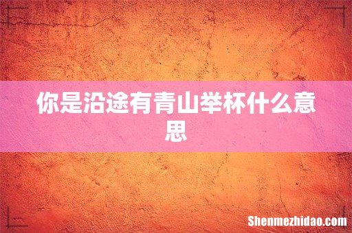 你是沿途有青山举杯什么意思