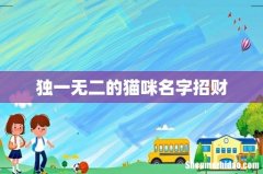 独一无二的猫咪名字招财