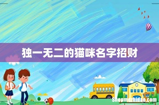独一无二的猫咪名字招财