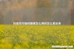 抖音月付临时额度怎么用的怎么套出来