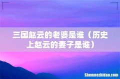 历史上赵云的妻子是谁 三国赵云的老婆是谁