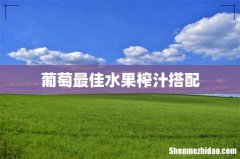 葡萄最佳水果榨汁搭配