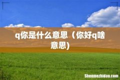 q你是什么意思（你好q啥意思)