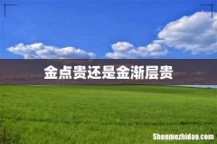 金点贵还是金渐层贵