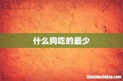 什么狗吃的最少