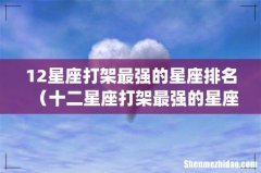 12星座打架最强的星座排名（十二星座打架最强的星座)