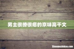 男主很撩很痞的京味高干文