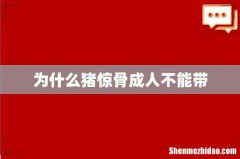 为什么猪惊骨成人不能带