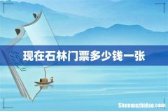 现在石林门票多少钱一张