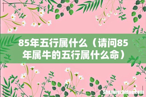 请问85年属牛的五行属什么命 85年五行属什么