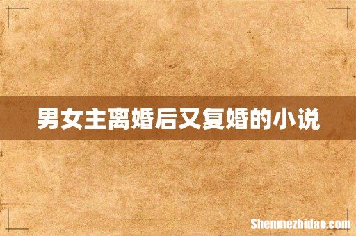 男女主离婚后又复婚的小说