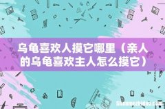 亲人的乌龟喜欢主人怎么摸它 乌龟喜欢人摸它哪里