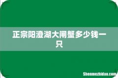 正宗阳澄湖大闸蟹多少钱一只