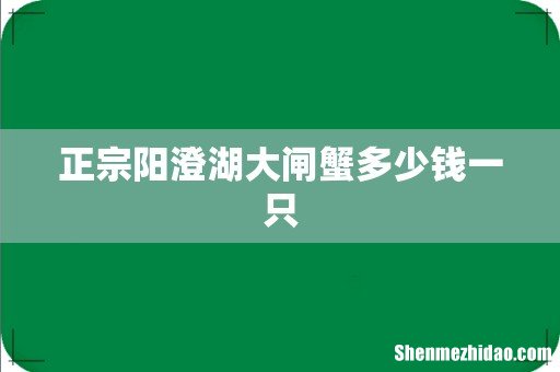正宗阳澄湖大闸蟹多少钱一只