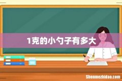 1克的小勺子有多大