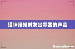 猫咪睡觉时发出鼻塞的声音