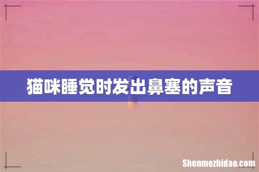 猫咪睡觉时发出鼻塞的声音