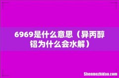 异丙醇铝为什么会水解 6969是什么意思