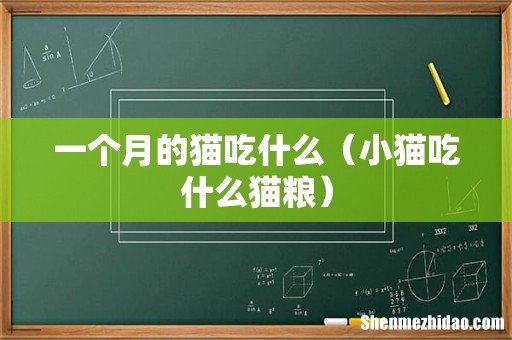 小猫吃什么猫粮 一个月的猫吃什么