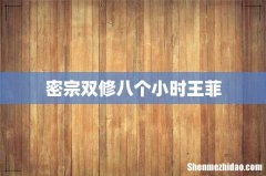密宗双修八个小时王菲