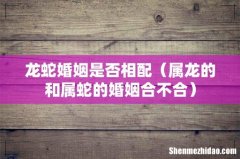 属龙的和属蛇的婚姻合不合 龙蛇婚姻是否相配