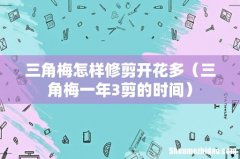 三角梅一年3剪的时间 三角梅怎样修剪开花多