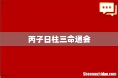 丙子日柱三命通会